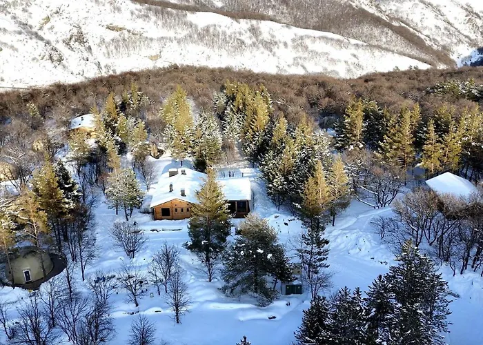 Anima Resort Aghveran - Forest Retreat